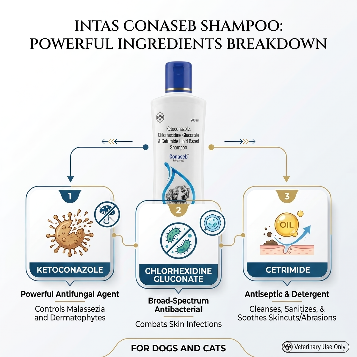 Intas Conaseb Shampoo