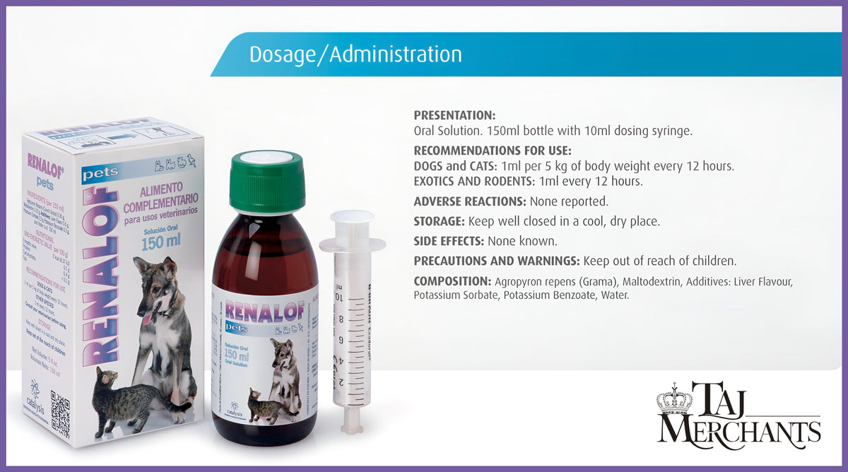 Catalysis Renalof Syrup