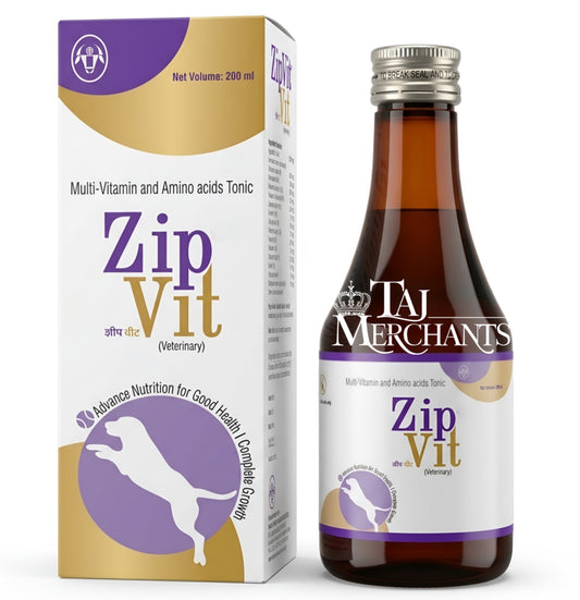 Intas Zipvit Syrup