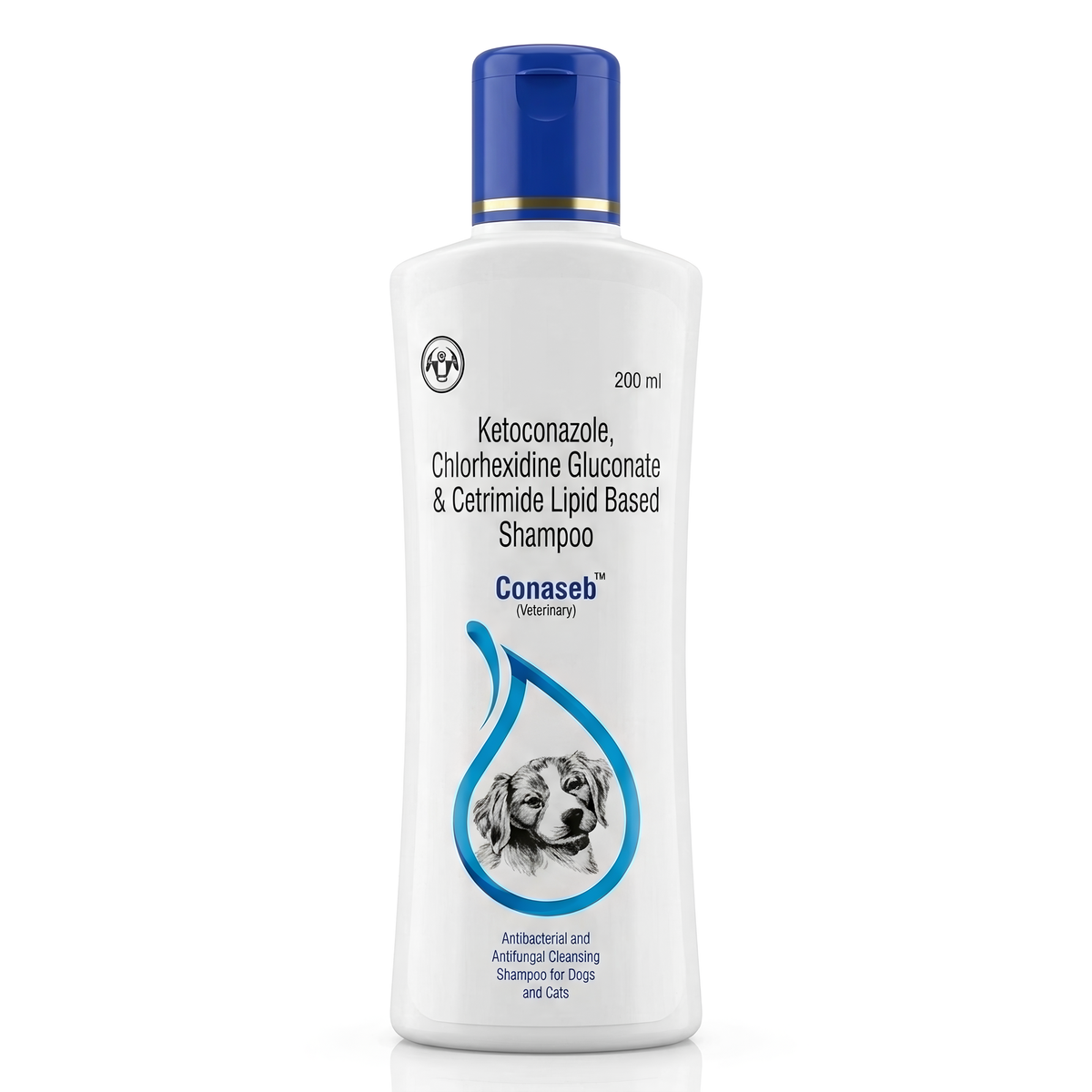 Intas Conaseb Shampoo