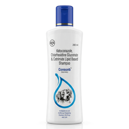 Intas Conaseb Shampoo