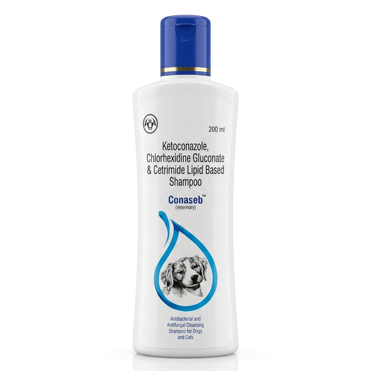 Intas Conaseb Shampoo