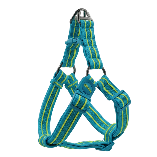 Petaholic Athletica Harness