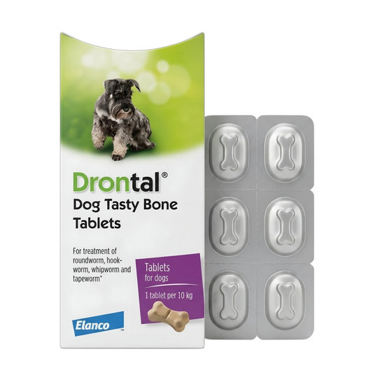 Drontal Plus Tasty for Dogs