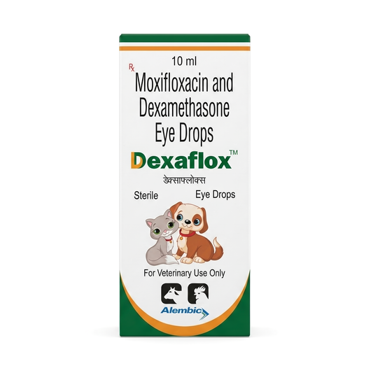 Dexaflox Eye Drop
