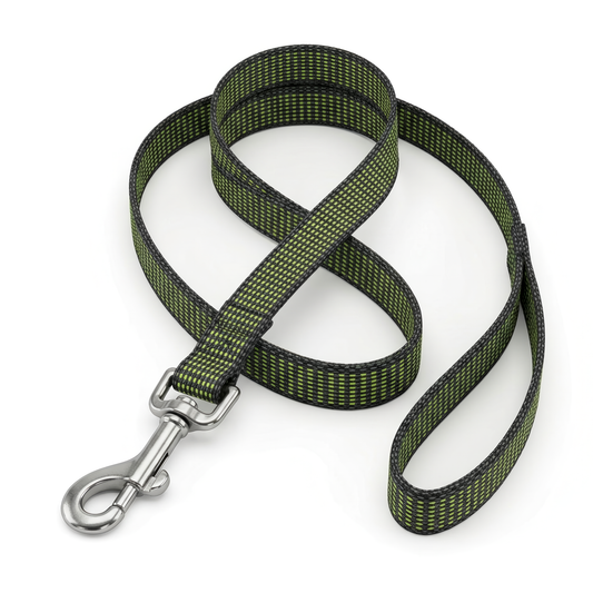 Petaholic Flat Nylon Leash