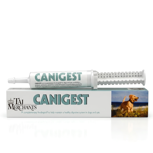 TRM Canigest Paste