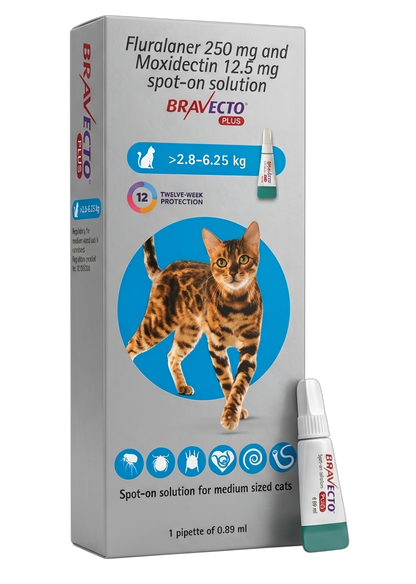 Bravecto Plus Spot on for Cats