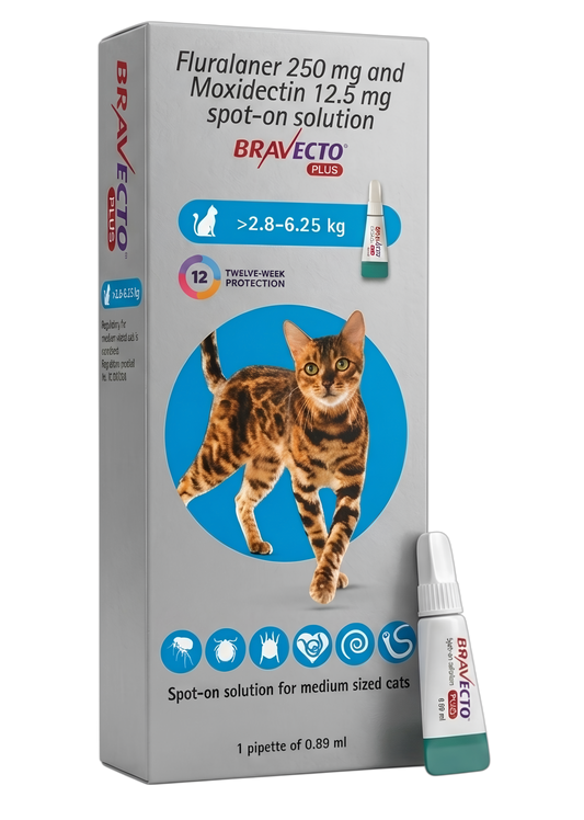 Bravecto Plus Spot on for Cats