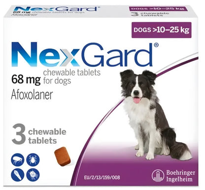 Nexgard (10-25 kg)