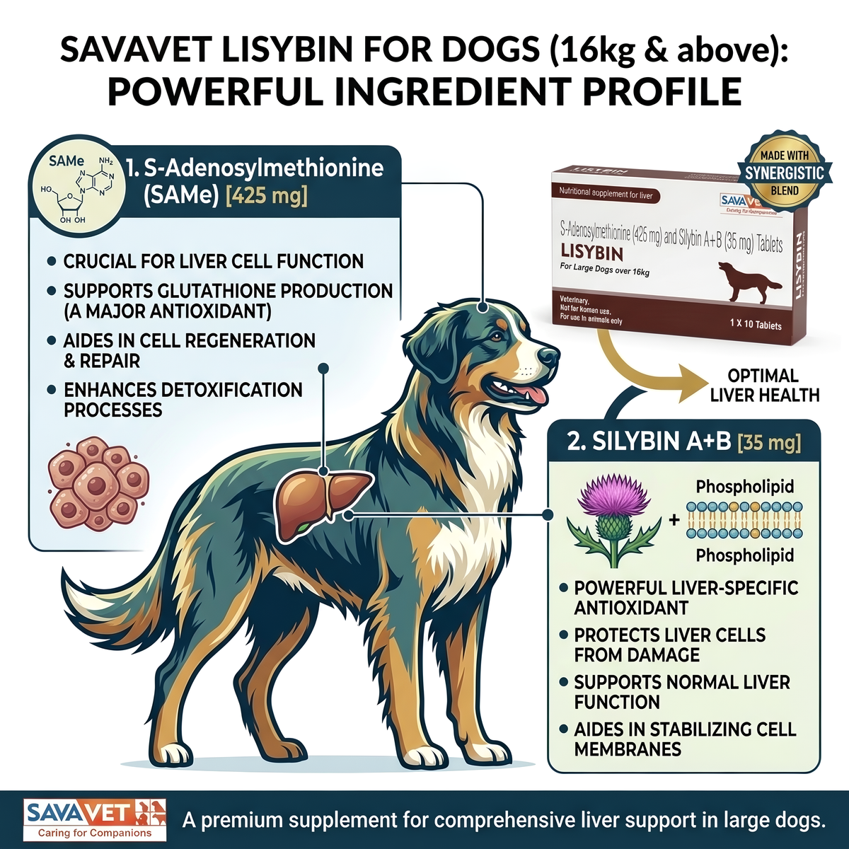 Savavet Lisybin Tablets