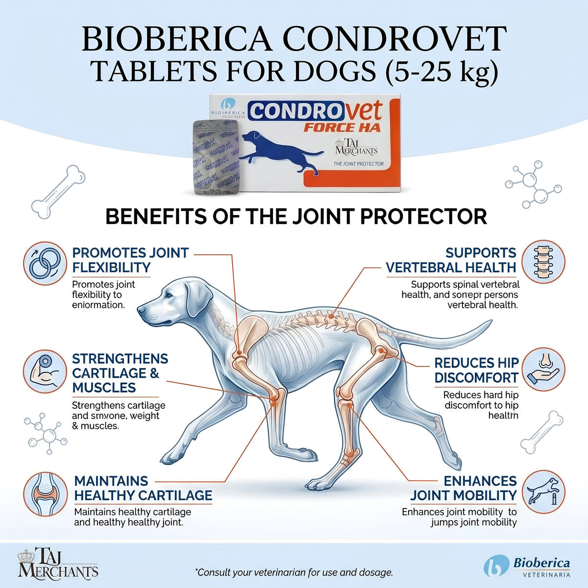 Bioberica Condrovet Force HA for Dogs (5-25 kg)