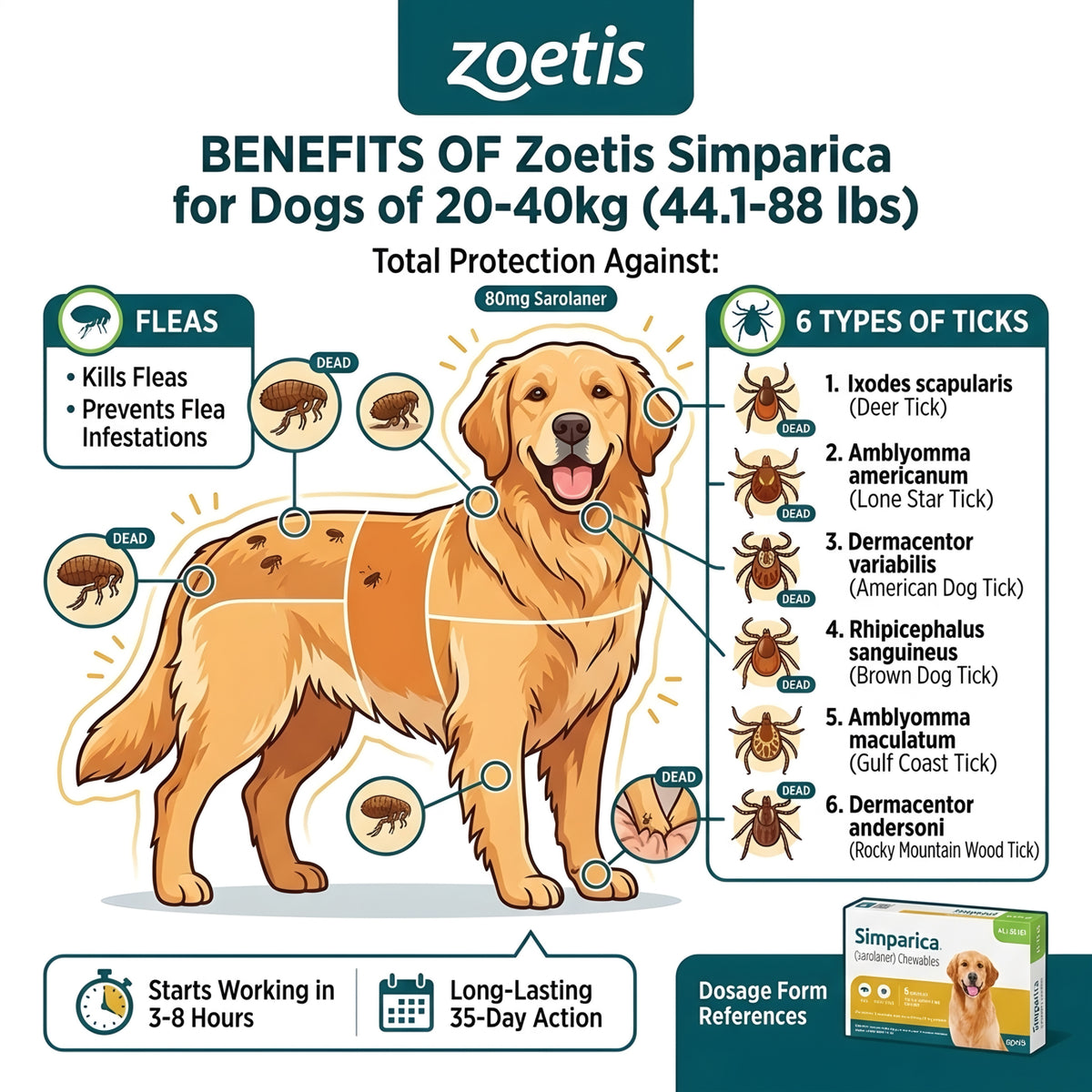 Zoetis Simparica (20-40 kg)