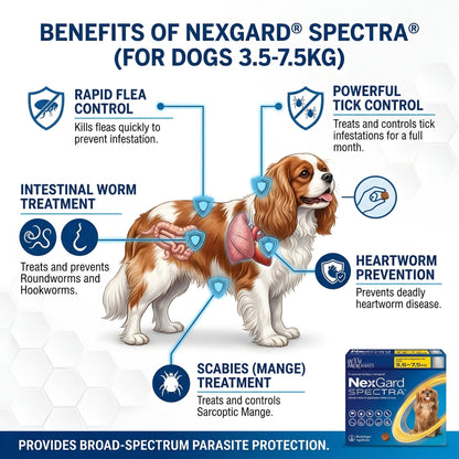 Nexgard Spectra (3.5-7.5 kg)
