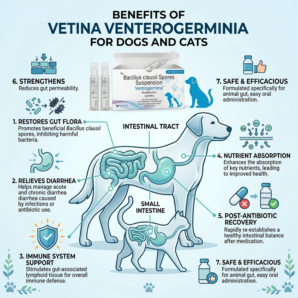 Vetina Venterogerminia