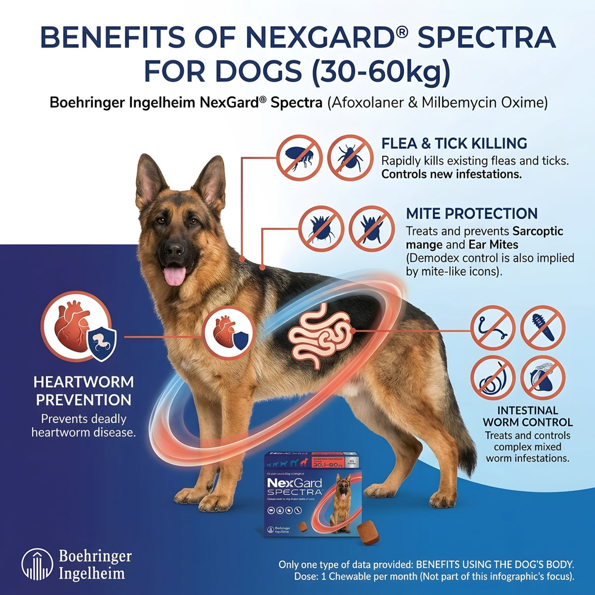 Nexgard Spectra (30-60 kg)