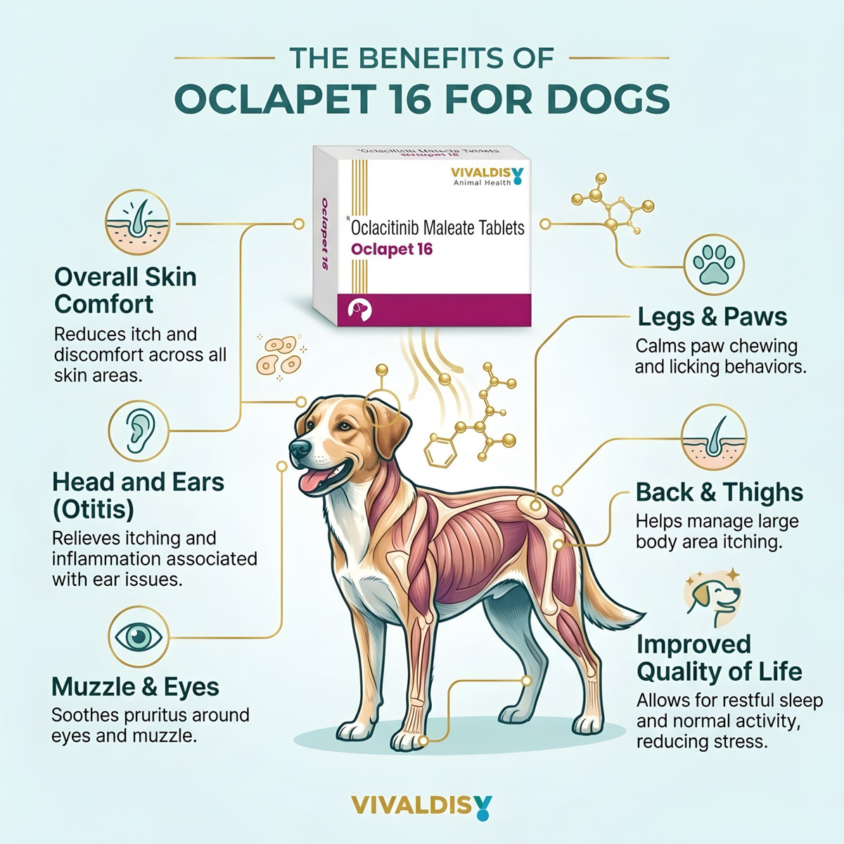 Vivaldis Oclapet (16 mg)