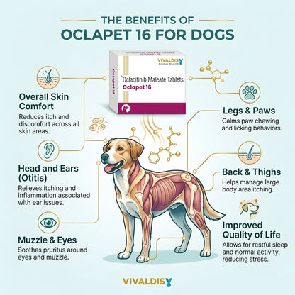 Vivaldis Oclapet (16 mg)