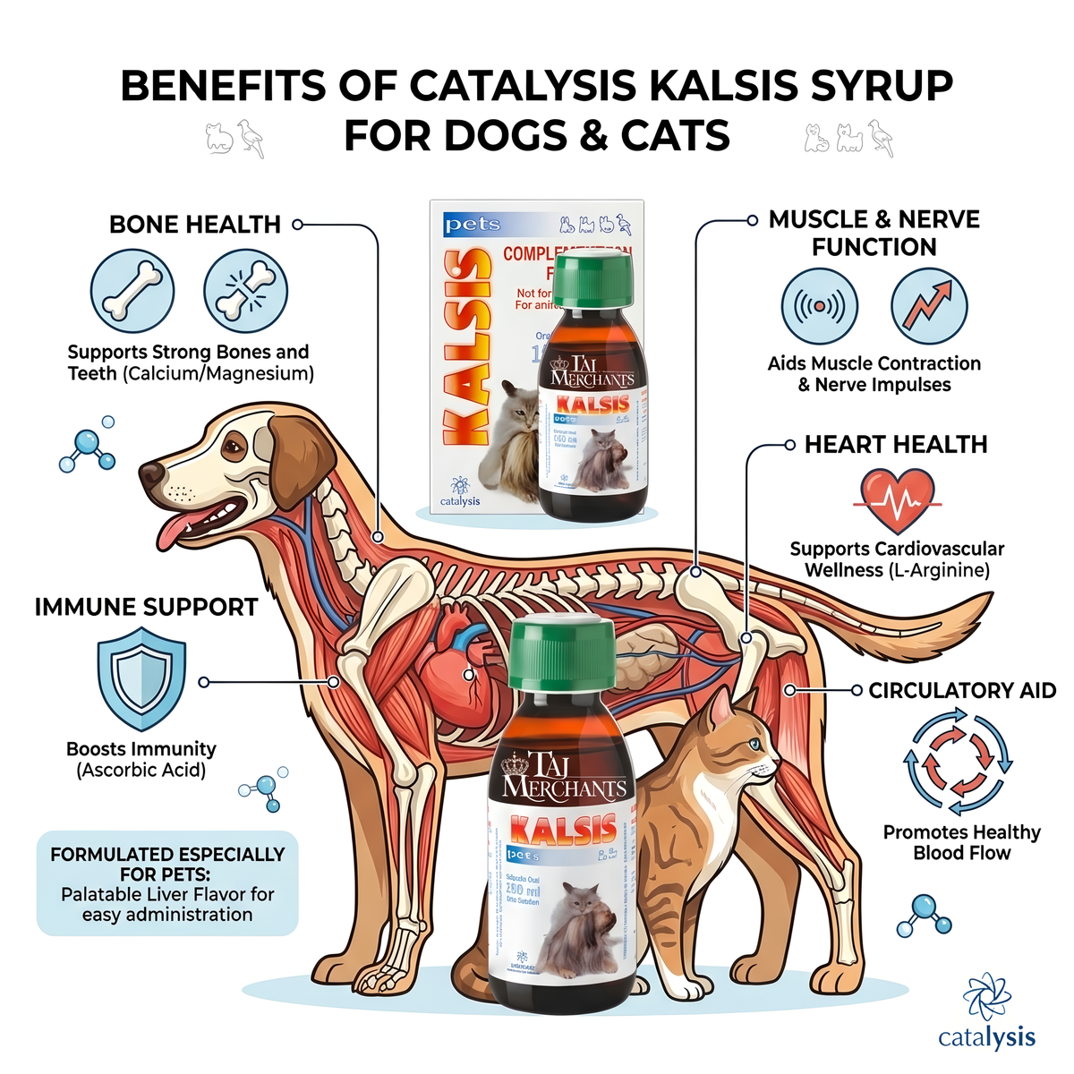 Catalysis Kalsis Syrup