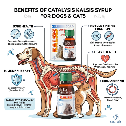 Catalysis Kalsis Syrup