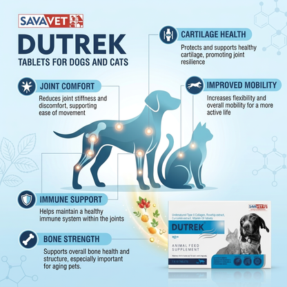 Savavet Dutrek For Dogs and Cats