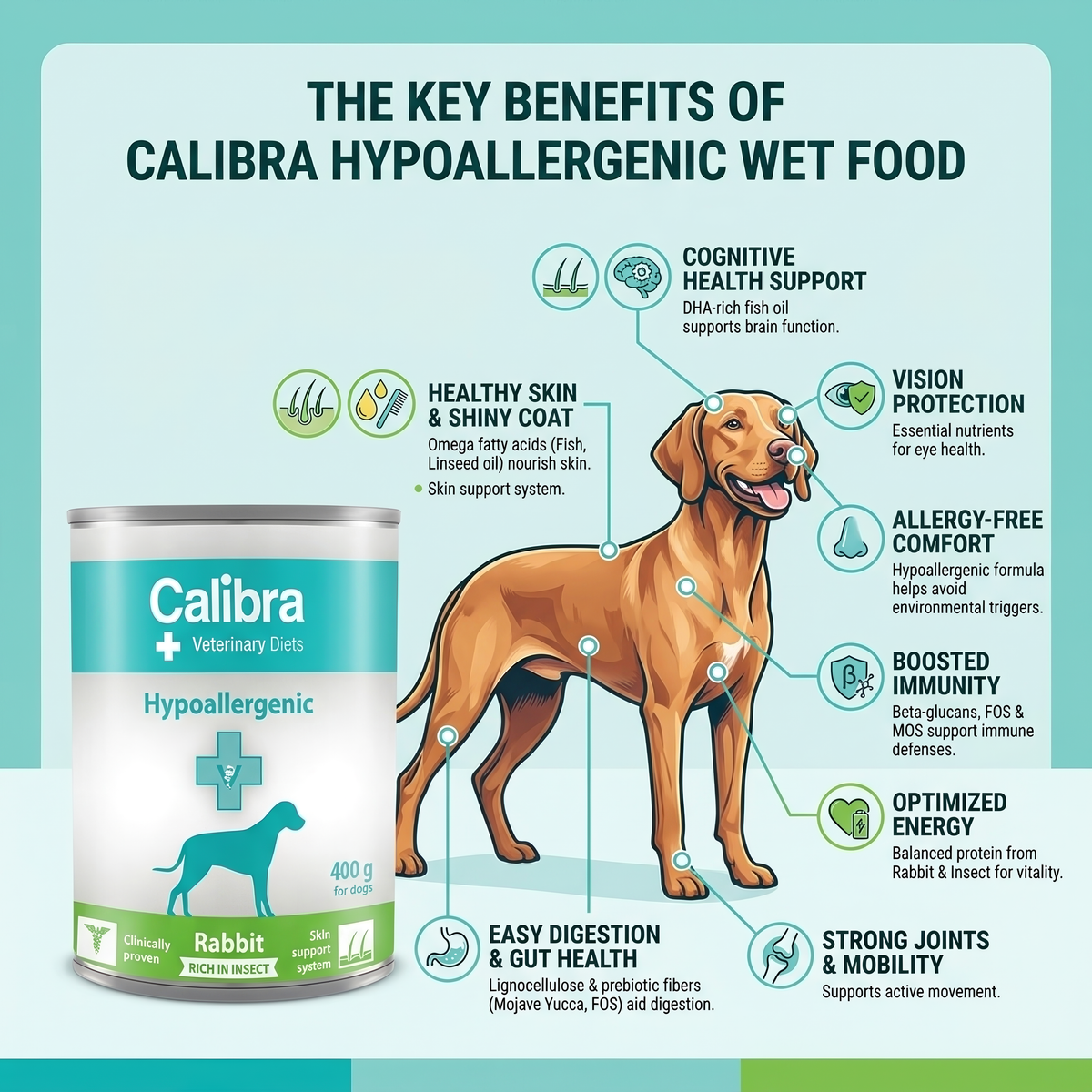 Calibra Hypoallergenic Rabbit and Insect Wet food for Dogs
