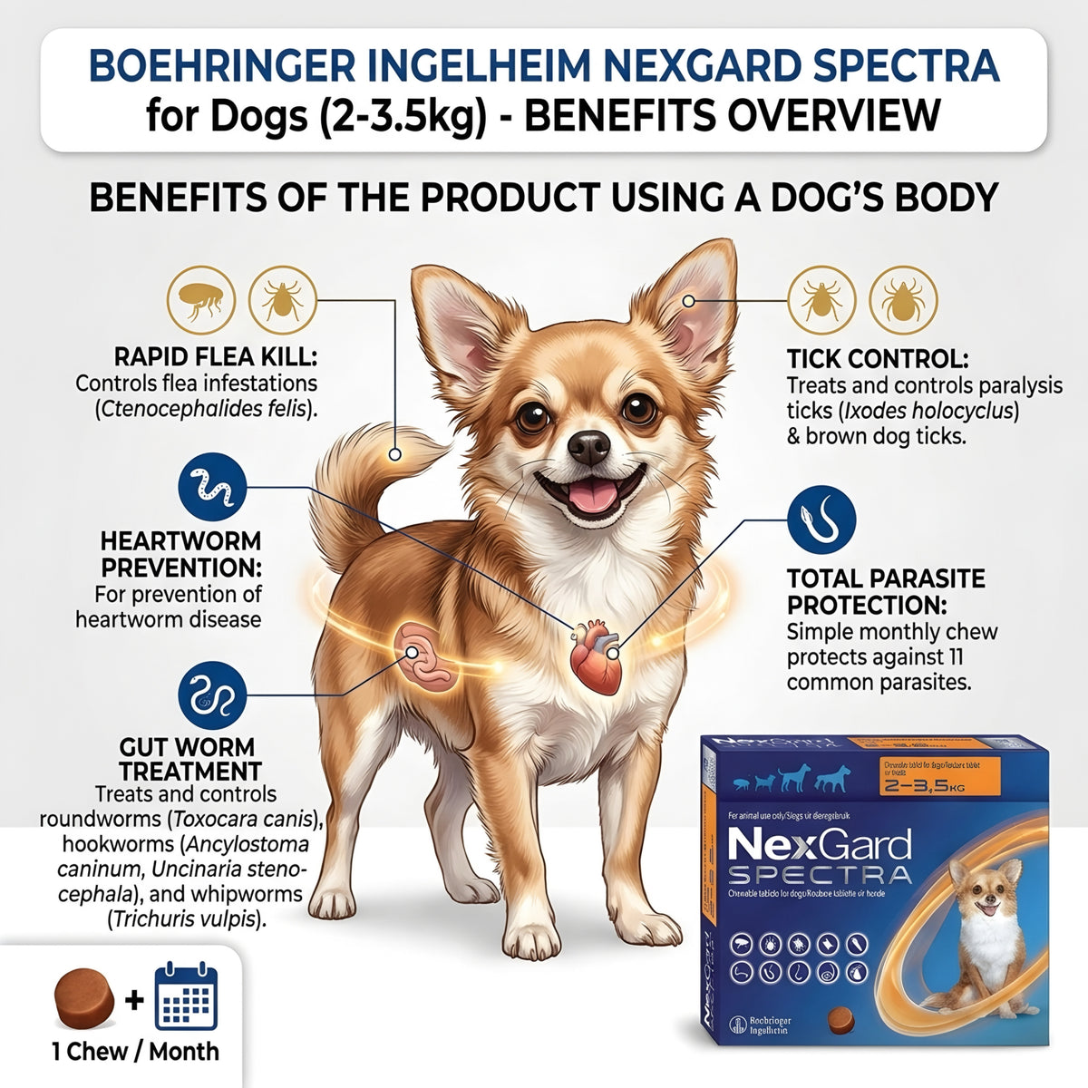 Nexgard Spectra (2-3.5 kg)