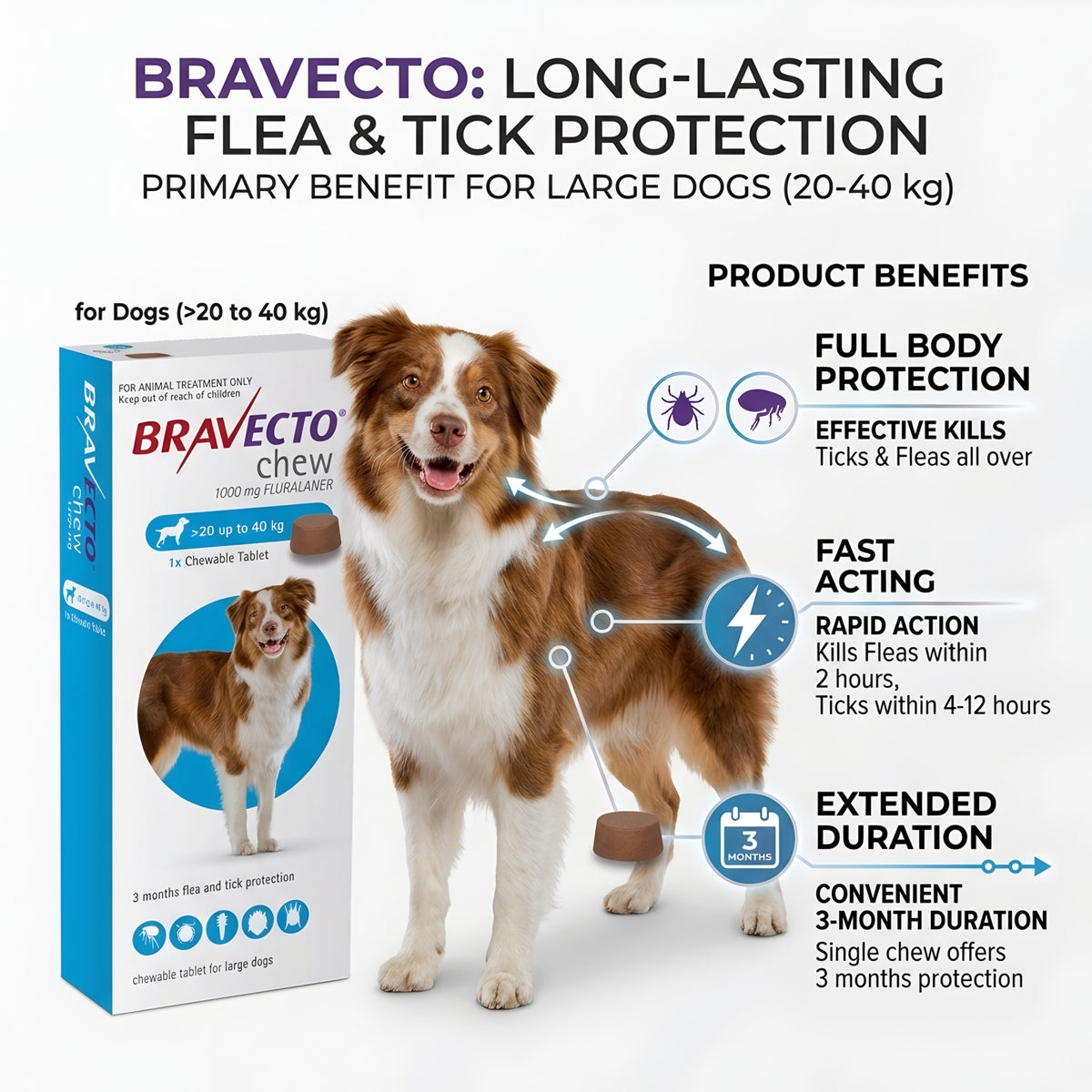 Bravecto (20-40 kg)