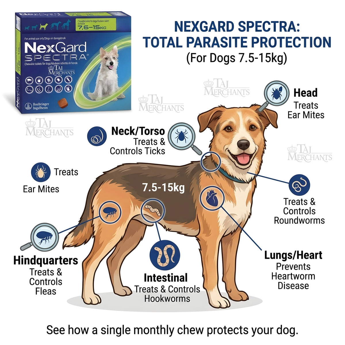 Nexgard Spectra (7.5-15 kg)