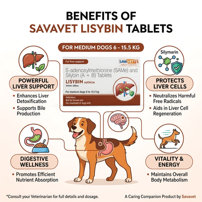 Savavet Lisybin Tablets