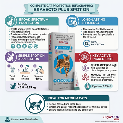 Bravecto Plus Spot on for Cats