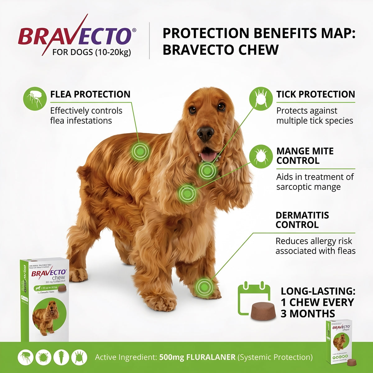 Bravecto (10-20 kg)