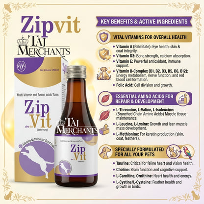 Intas Zipvit Syrup