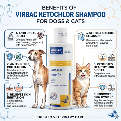 Virbac Ketochlor Shampoo