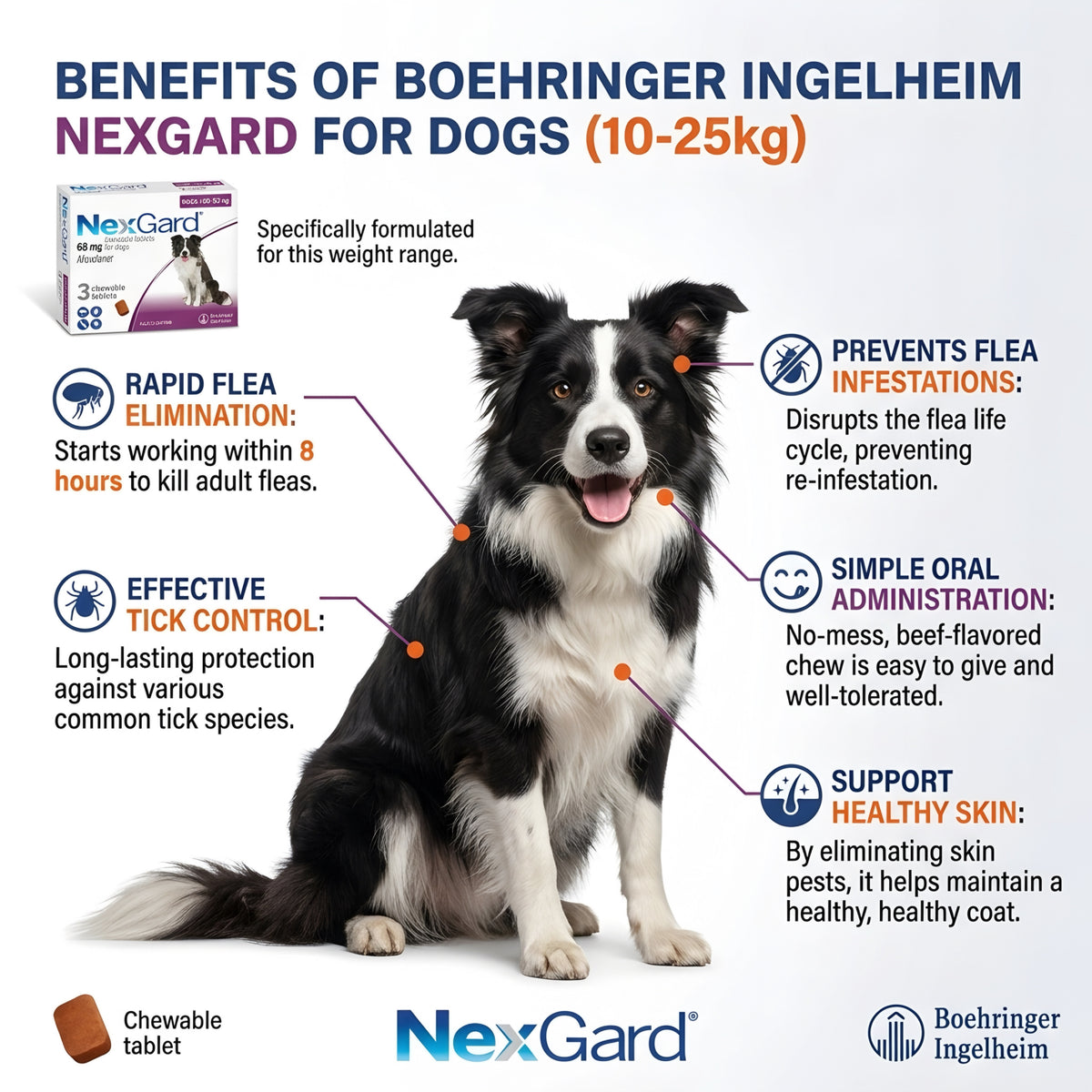Nexgard (10-25 kg)
