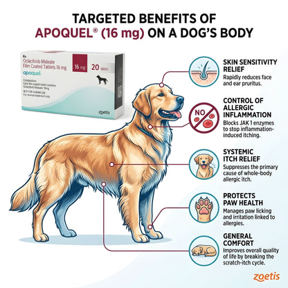 Zoetis Apoquel (16 mg)