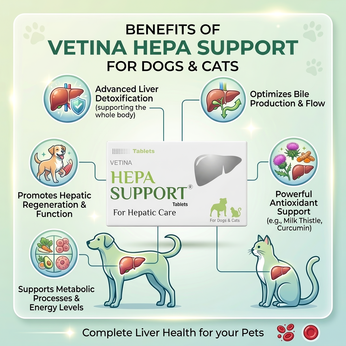Vetina Hepa Support Tablets