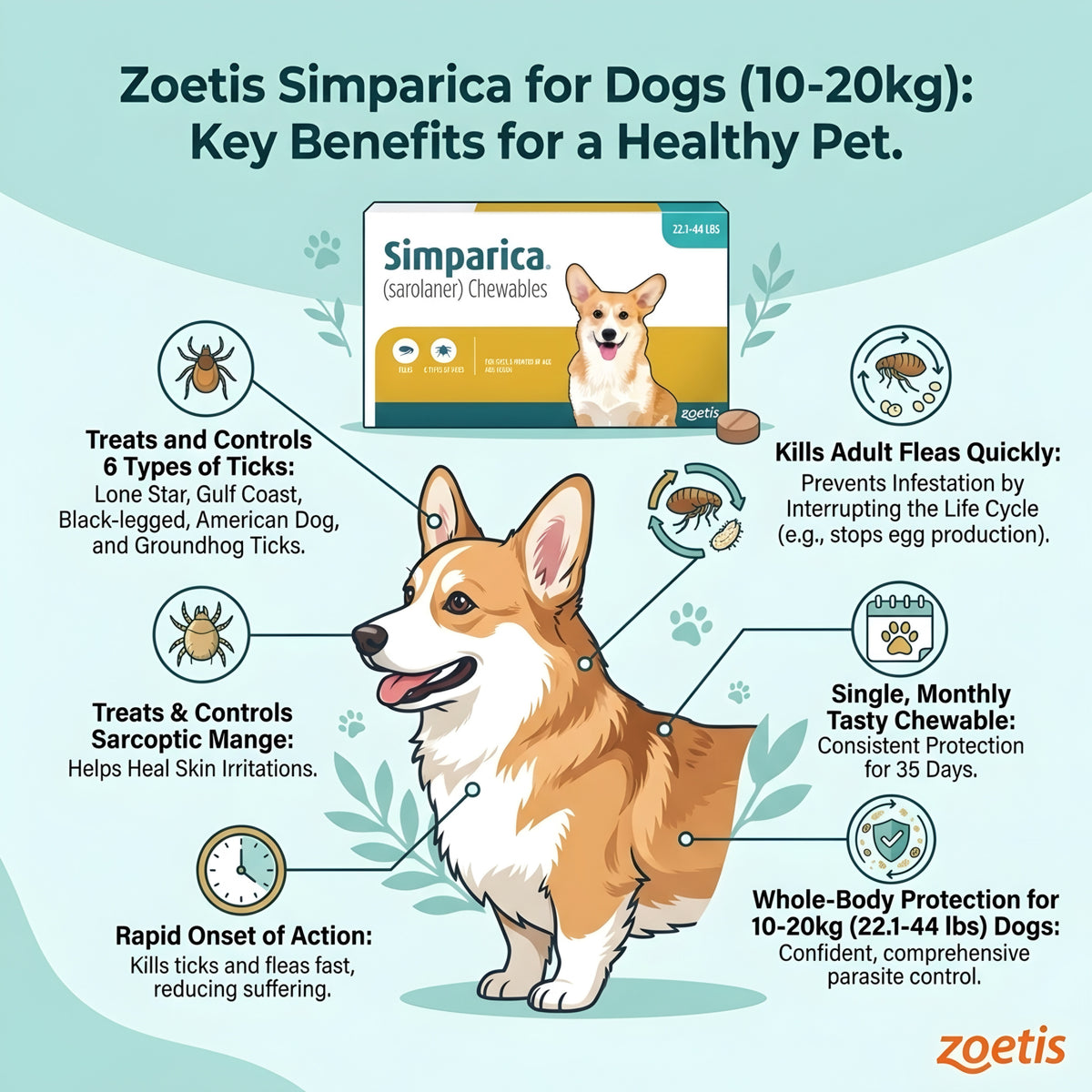 Zoetis Simparica (10-20 kg)