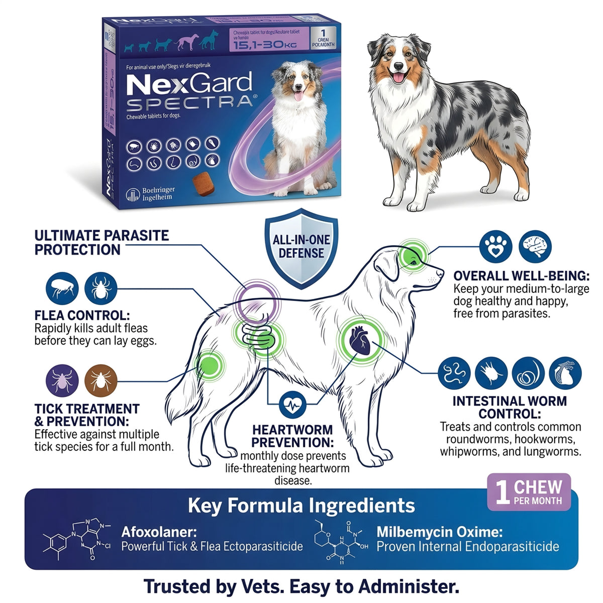 Nexgard Spectra (15-30 kg)