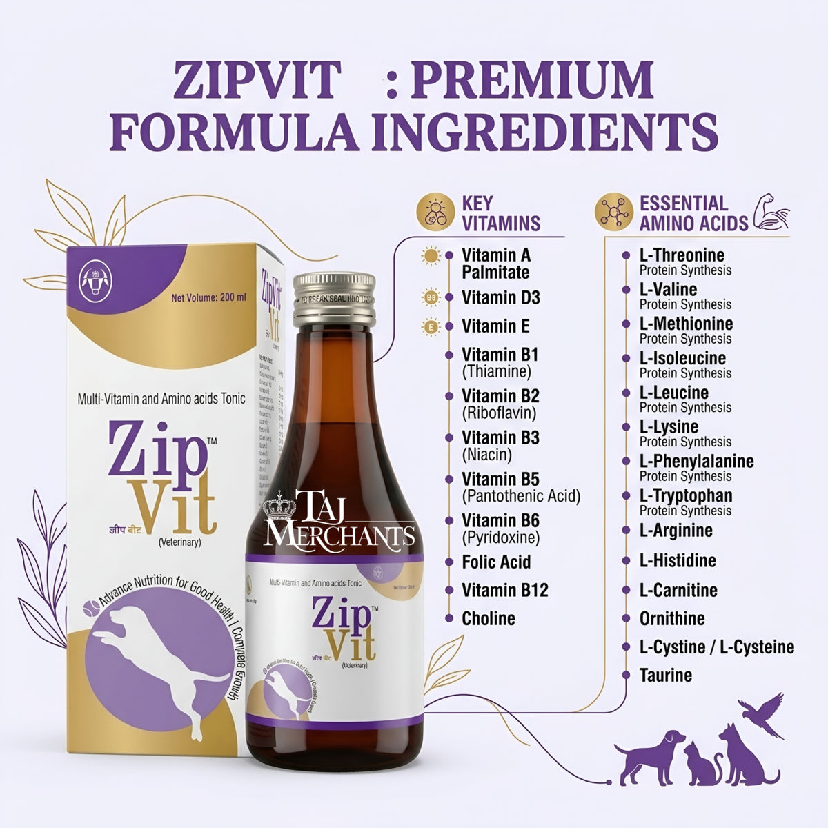 Intas Zipvit Syrup
