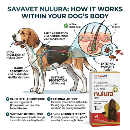 Nulura (10-20 kg)