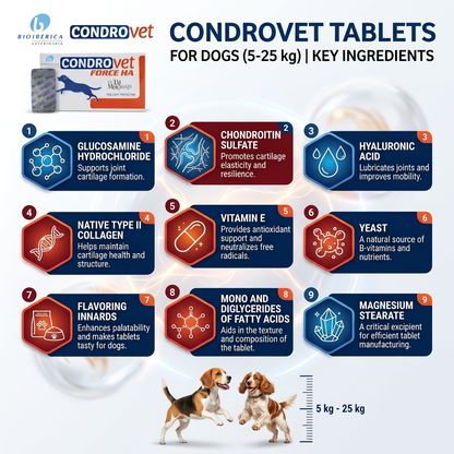 Bioberica Condrovet Force HA for Dogs (5-25 kg)