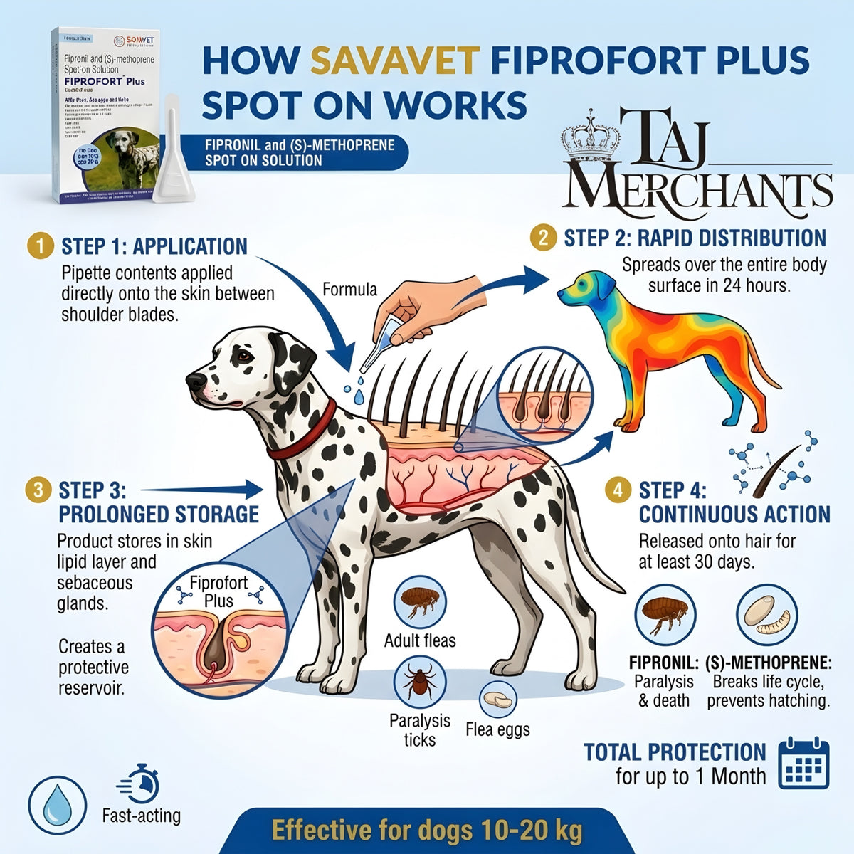 Savavet Fiprofort Spot on (10-20 kg)