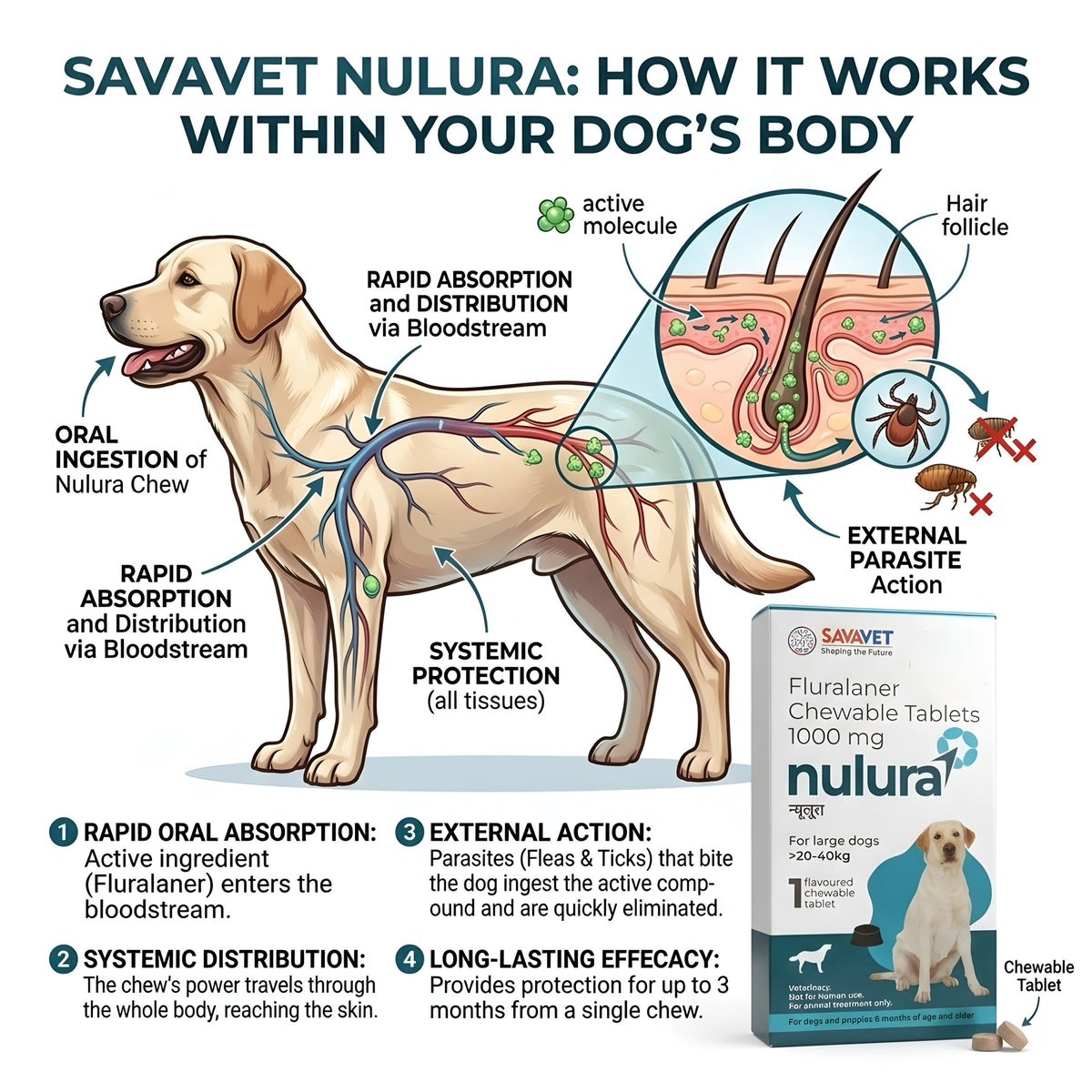 Nulura (20-40 kg)