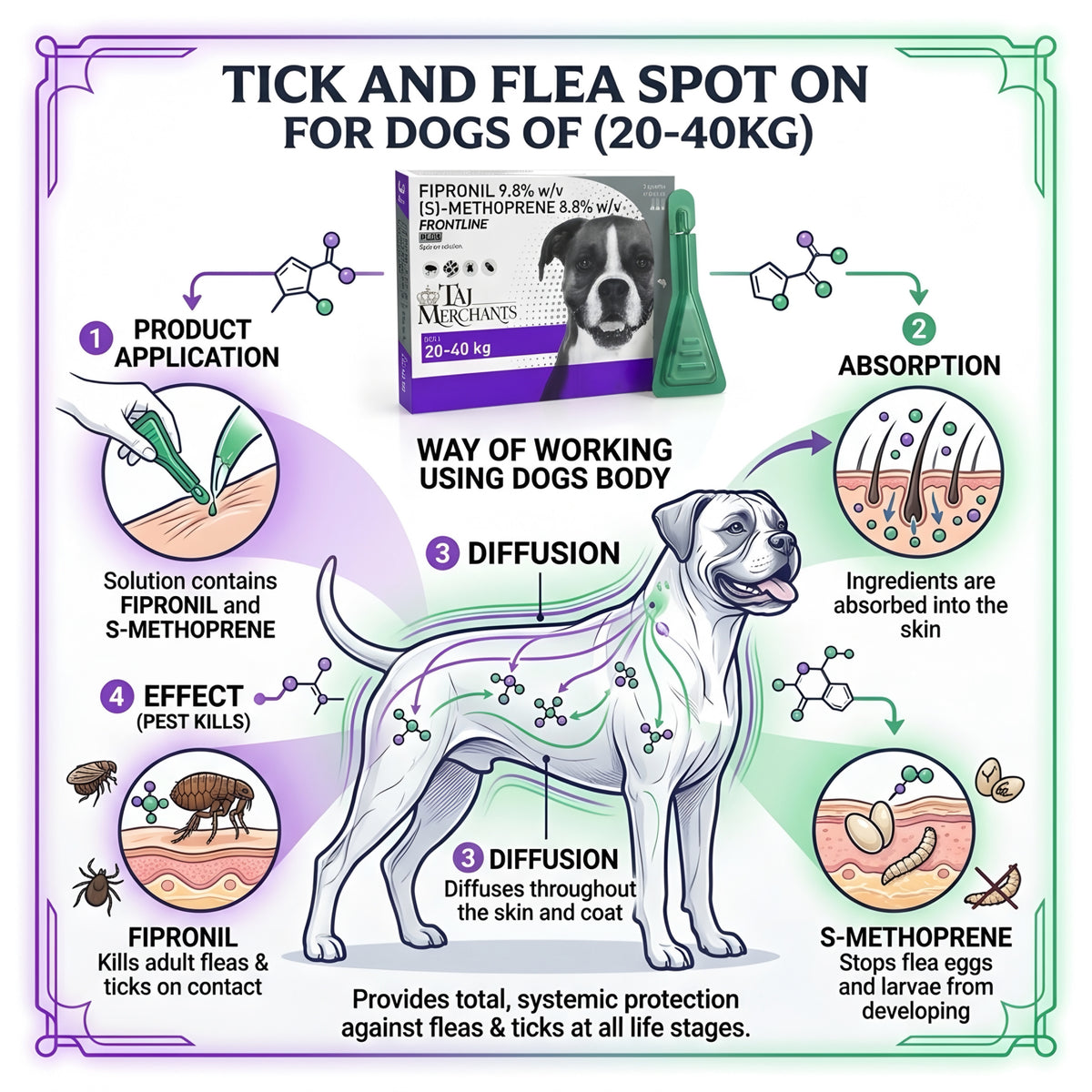 Frontline Plus Spot On (20-40 kg)