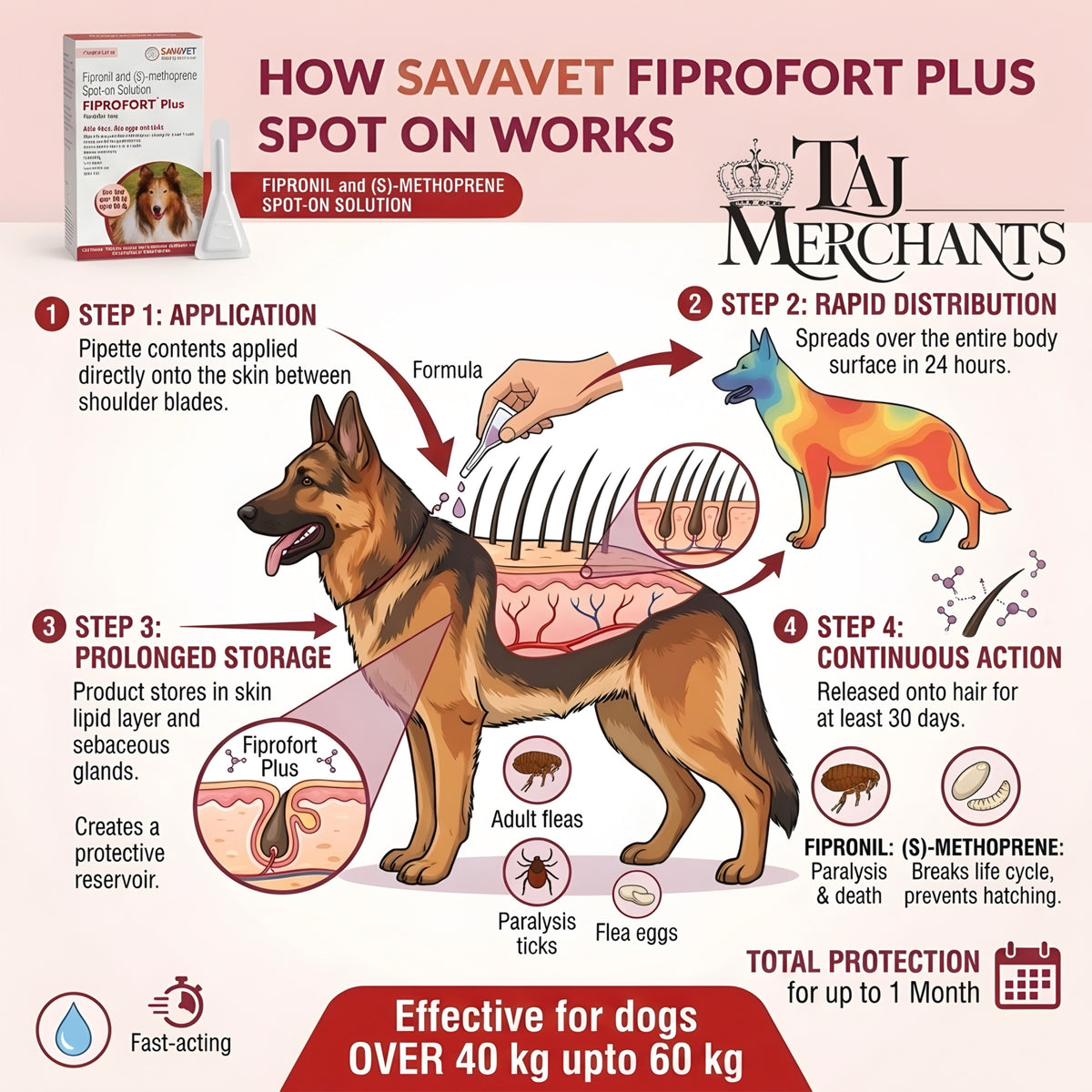 Savavet Fiprofort Spot on (40-60 kg)