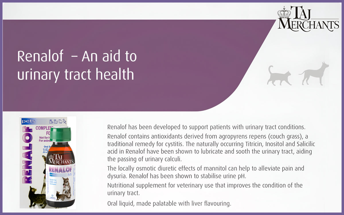 Catalysis Renalof Syrup