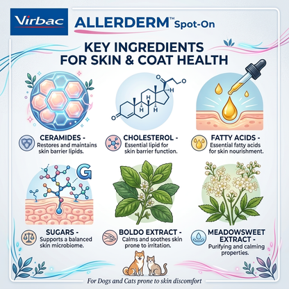 Virbac Allerderm Spot On