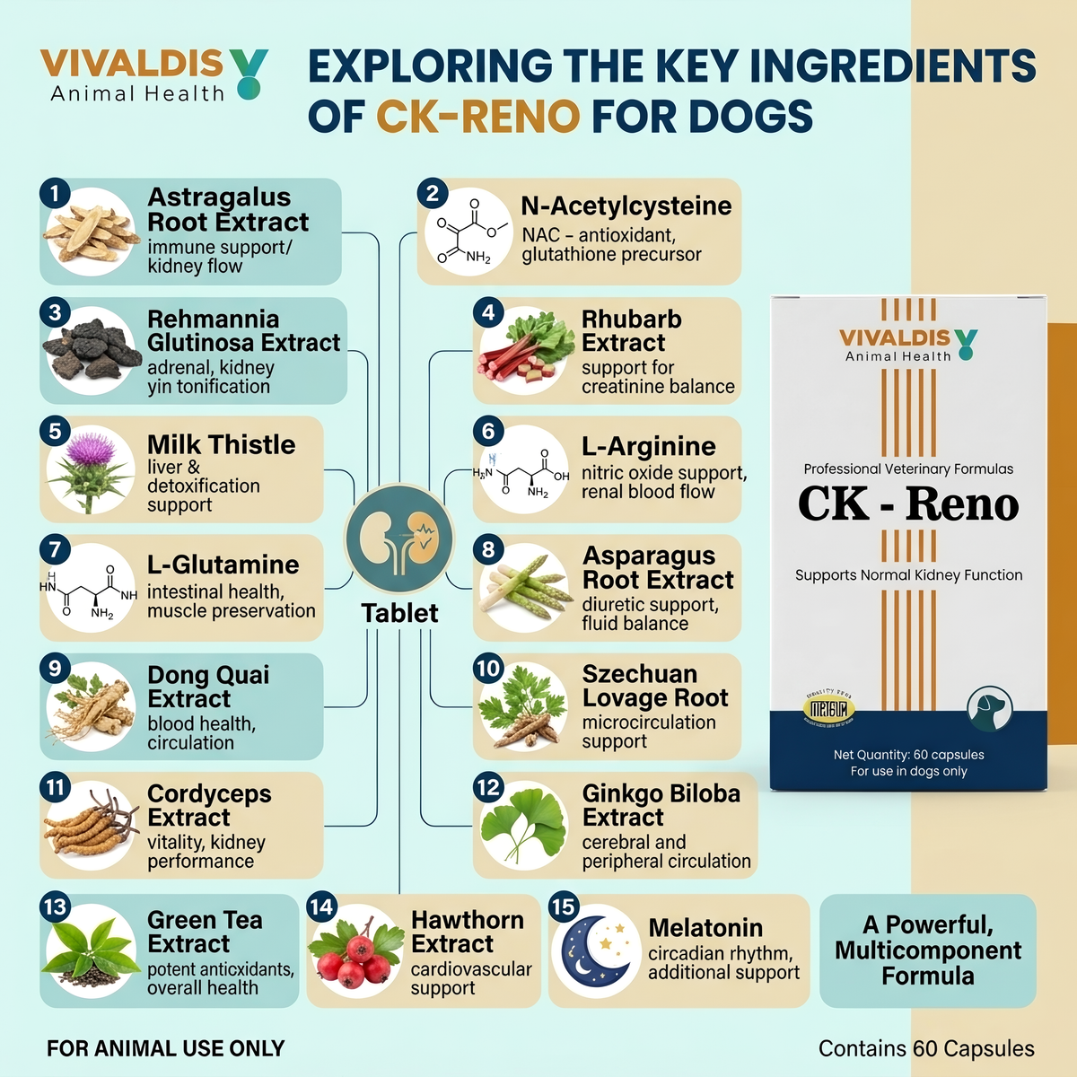Vivaldis CK RENO for Dogs