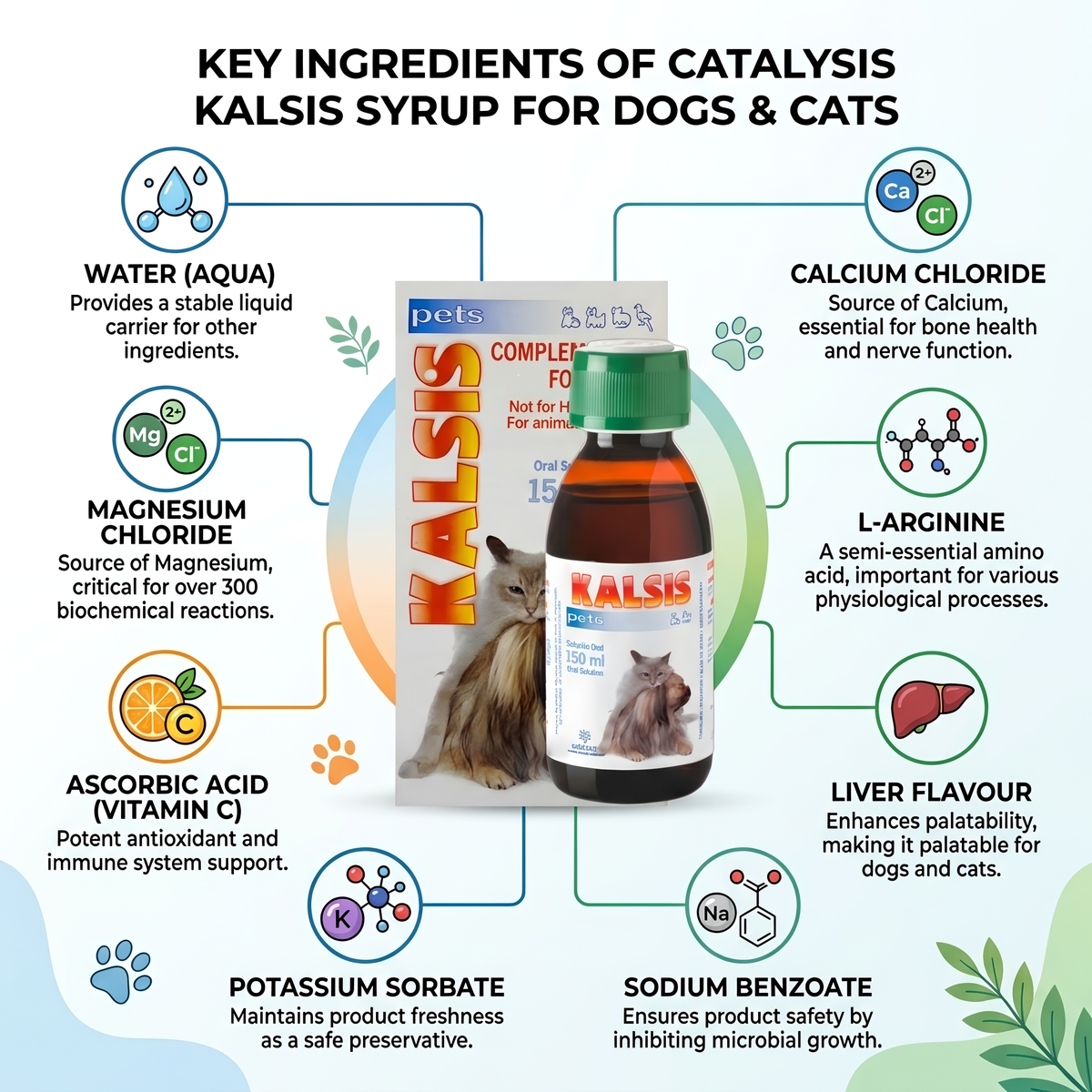 Catalysis Kalsis Syrup